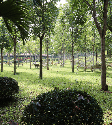 Gather in Nature’s Warmth image 1